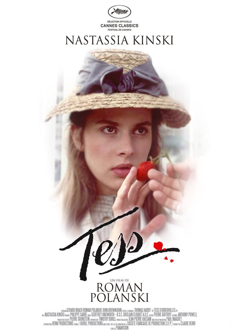 苔丝(普通话版)海报