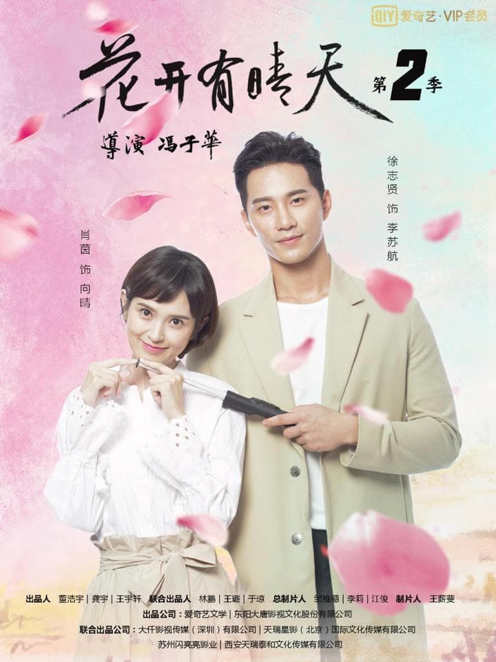 花开有晴天第2季海报