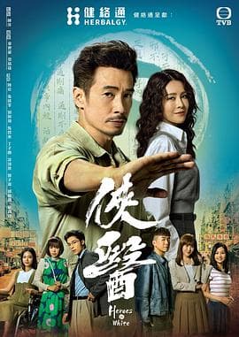 侠医粤语海报