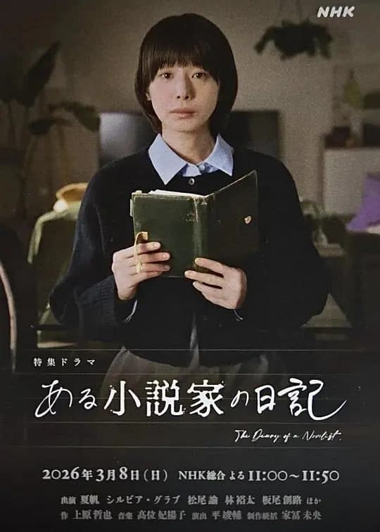 某小说家的日记海报