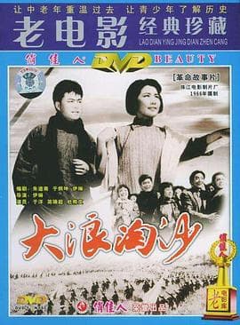 大浪淘沙1978海报