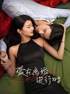 爱在离婚进行时2025海报
