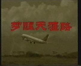 梦醒天涯路海报