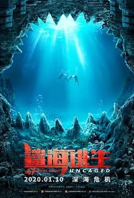 鲨海47:猛鲨出笼海报