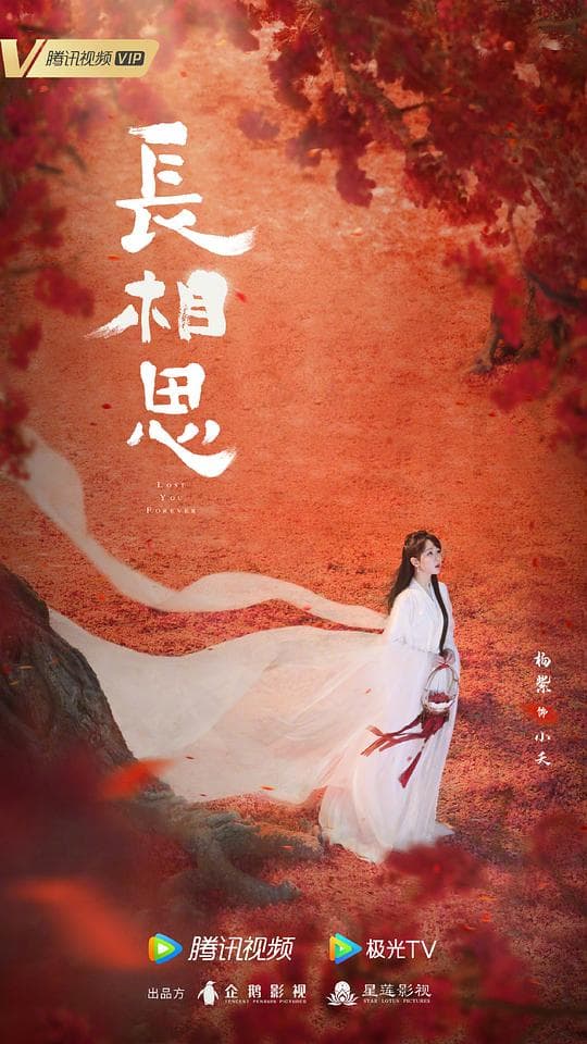 长相思海报