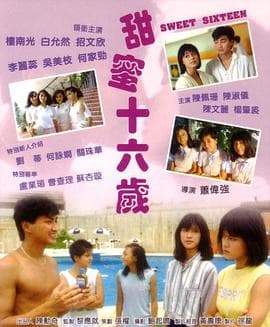 甜蜜十六岁(国语版)海报
