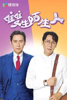 双生陌生人粤语海报