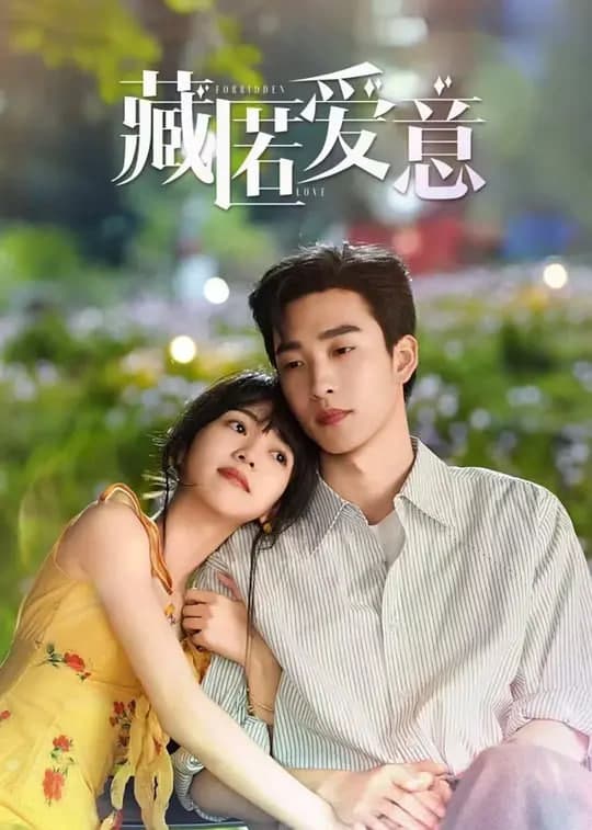 藏匿爱意海报