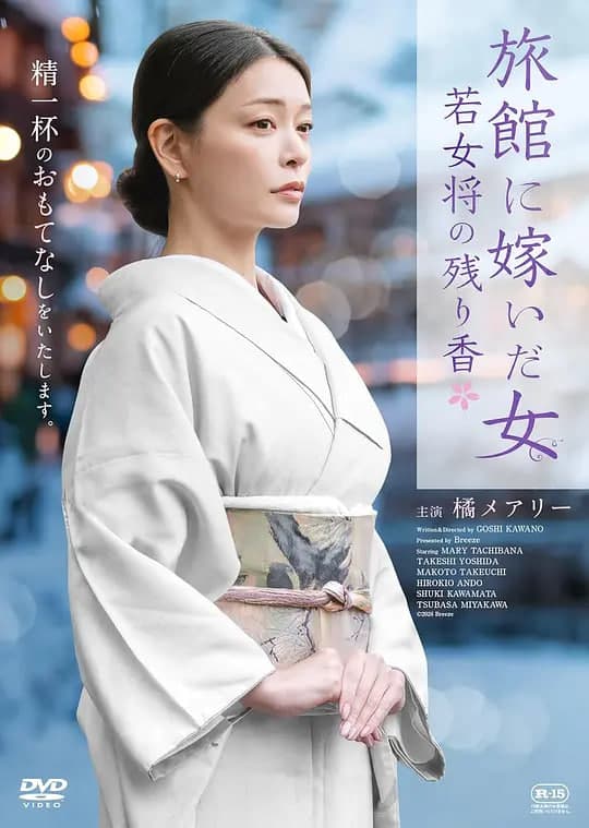 嫁入旅馆世家的女子:年轻女掌柜的余香海报