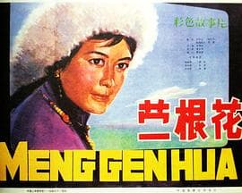 蒙根花海报