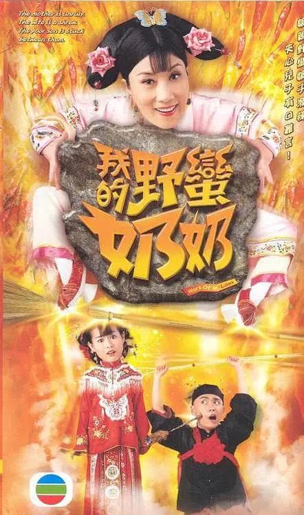 我的野蛮奶奶国语海报