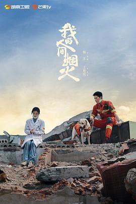 我的人间烟火海报