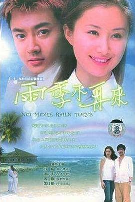 雨季不再来2004海报