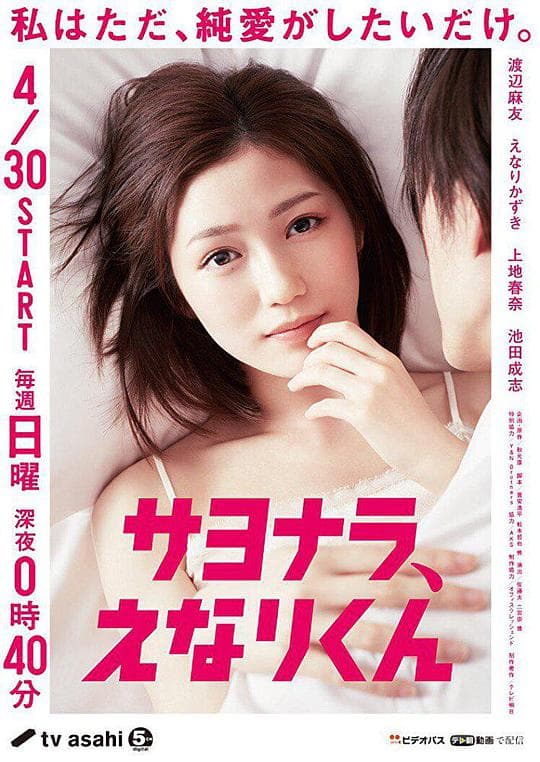 再见,江成君海报